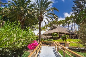 Hotel BARCELO MARGARITAS ROYAL LEVEL ADULTS ONLY wakacje
