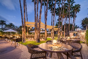 Hotel BARCELO MARGARITAS ROYAL LEVEL ADULTS ONLY wakacje