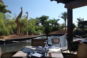 Hotel LOPESAN BAOBAB RESORT wakacje
