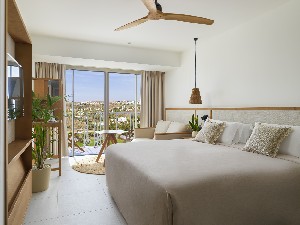 Premium Room Mountain View