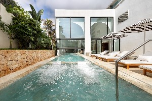Spa and wellness