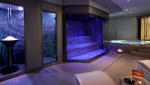 Spa and wellness