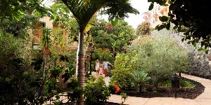 Hotel LAS OLAS wakacje