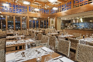 Hotel ELBA PREMIUM SUITES wakacje