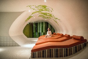 Spa and wellness