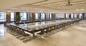 Conference Facilities