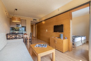 Apartment Standard