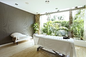 Spa and wellness