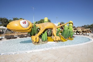 Splash Pool