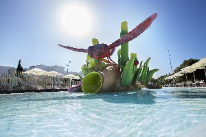Splash Pool