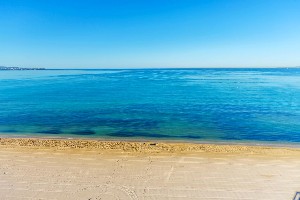 Hotel FONTANELLAS PLAYA APARTHOTEL wakacje