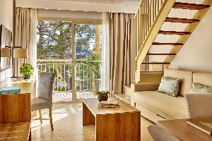 Suite One Bedroom Penthouse