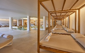 Spa and wellness