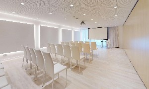 Meeting Rooms 