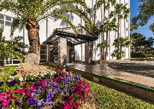 Globales Palmanova Palace 4* (4*)