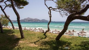 Beach