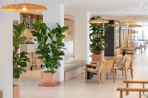 Hotel COPAIBA BY HONNE HOTELS (EX HSM VENUS PLAYA) wakacje