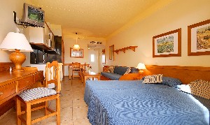 Studio NO refurbished