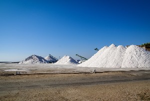 Španělsko, Murcia, San Pedro del Pinatar - Pěšky španělskou Murcií 55+