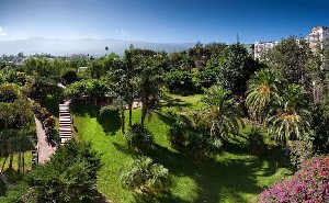 garden