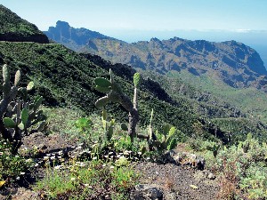 Španělsko, Tenerife, Španělsko, Tenerife, Costa Adeje - TENERIFE S TREKINGEM - turistika mezi sopkami a exotickými soutěskami