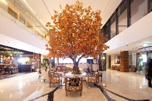 Hotel C CENTRAL RESORT THE PALM wakacje