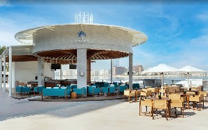 Hotel TAJ EXOTICA RESORT AND SPA THE PALM wakacje