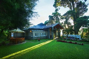 Srí Lanka, Vnitrozemí, Tea Country - THE FIRS