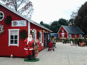 20161126_160304