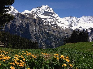 Jungfrau