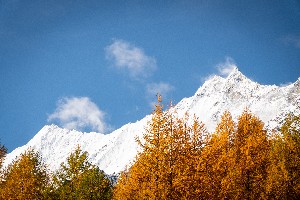 Hotel WELLNESSHOTEL SCHWEIZERHOF SAAS-FEE wakacje