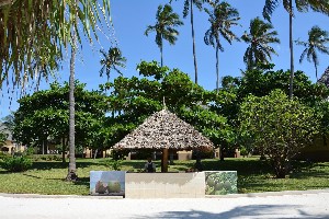 Hotel NEPTUNE PWANI BEACH RESORT & SPA wakacje