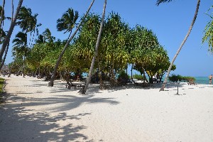 Hotel NEPTUNE PWANI BEACH RESORT & SPA wakacje