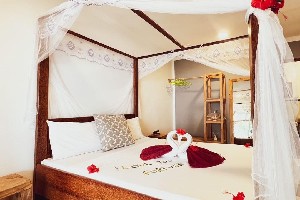 Hotel SEASHORE VILLA wakacje