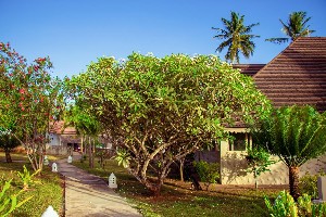 Hotel MANDARIN RESORT ZANZIBAR wakacje