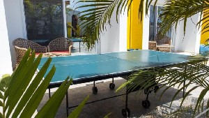 Table Tennis