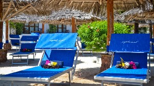 Hotel MY BLUE wakacje