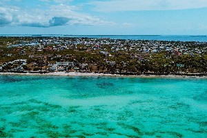 Hotel NUNGWI DREAMS BY MANTIS wakacje