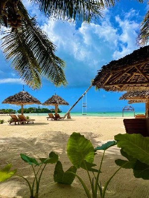 Hotel KARIBU BEACH RESORT wakacje