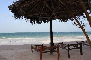 Hotel JAZ ADONIA BEACH RESORT wakacje