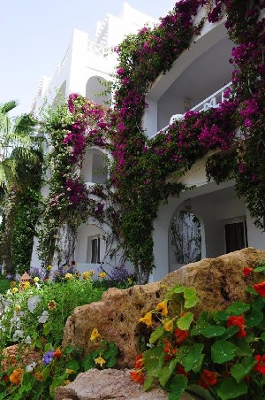 Hotel DJERBA RESORT wakacje