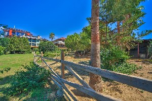 Hotel LONICERA WORLD wakacje