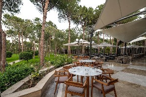 Hotel BALMY FORESTA wakacje