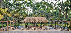 Hotel PALOMA FORESTA wakacje