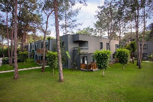 Hotel PALOMA FORESTA wakacje
