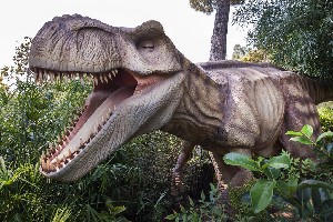 Hotel MAXX ROYAL BELEK wakacje