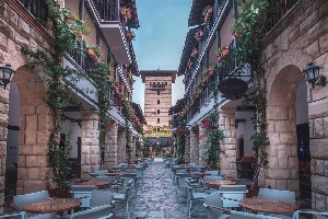 Hotel PALOMA GRIDA wakacje