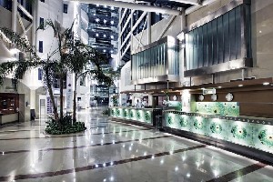 Hotel PALOMA SENCIA wakacje