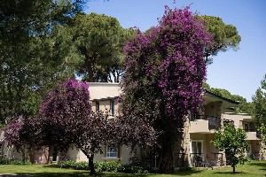 Hotel PINE BEACH BELEK wakacje