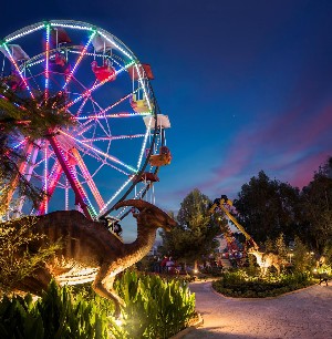 Hotel DELPHIN BE GRAND RESORT wakacje